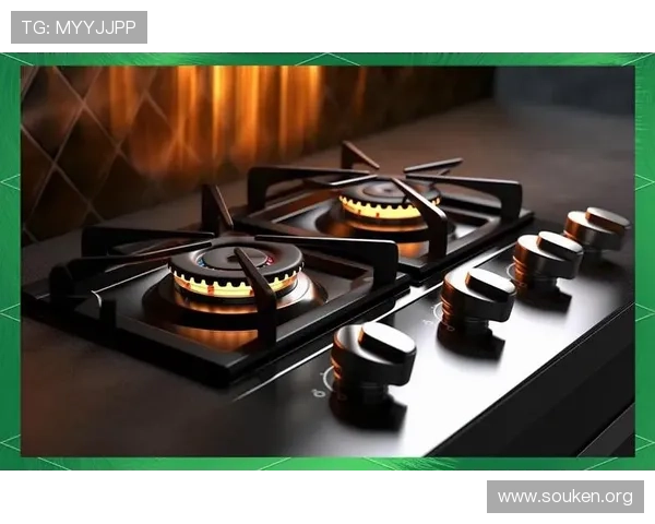 欧博登录官方网最新入口确保玩家安全稳定畅玩体验全面指南